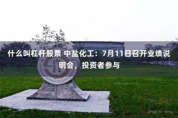 什么叫杠杆股票 中盐化工：7月11日召开业绩说明会，投资者参与