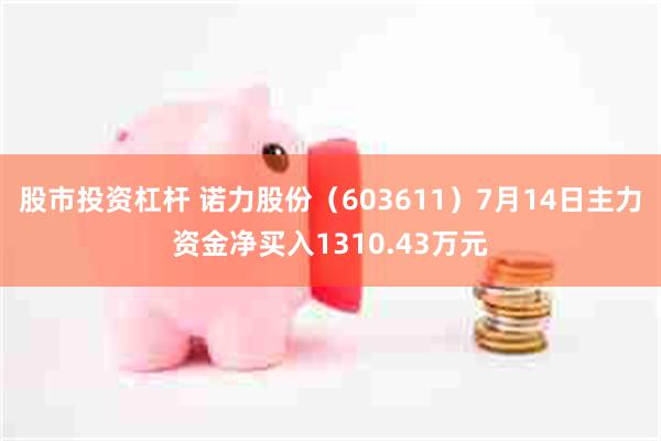 股市投资杠杆 诺力股份（603611）7月14日主力资金净买入1310.43万元