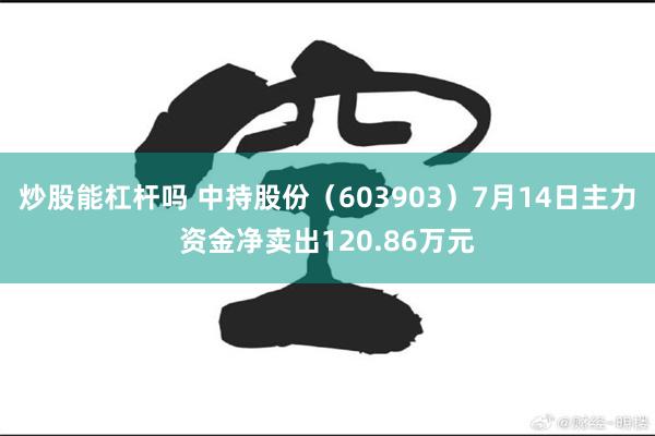 炒股能杠杆吗 中持股份（603903）7月14日主力资金净卖出120.86万元