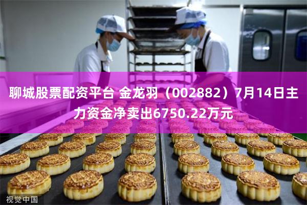 聊城股票配资平台 金龙羽（002882）7月14日主力资金净卖出6750.22万元