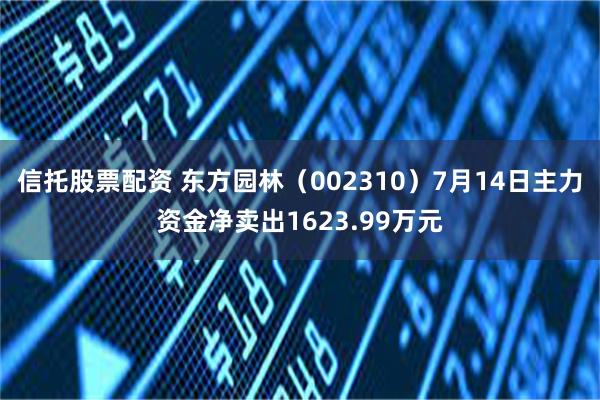 信托股票配资 东方园林（002310）7月14日主力资金净卖出1623.99万元