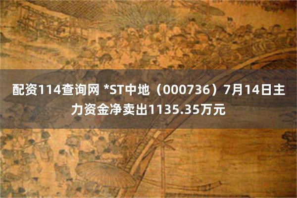 配资114查询网 *ST中地（000736）7月14日主力资金净卖出1135.35万元
