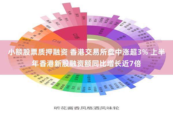 小额股票质押融资 香港交易所盘中涨超3% 上半年香港新股融资额同比增长近7倍