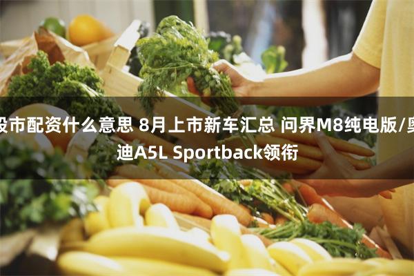 股市配资什么意思 8月上市新车汇总 问界M8纯电版/奥迪A5L Sportback领衔