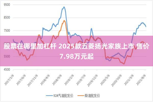 股票在哪里加杠杆 2025款五菱扬光家族上市 售价7.98万元起