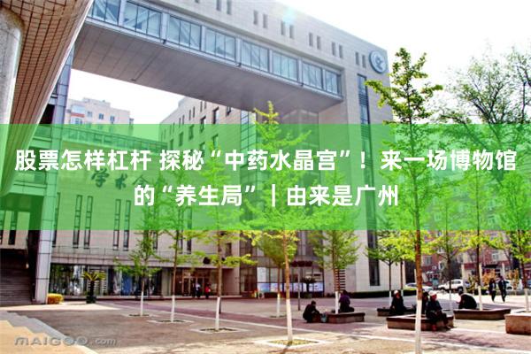 股票怎样杠杆 探秘“中药水晶宫”！来一场博物馆的“养生局”｜由来是广州