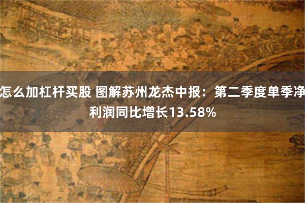 怎么加杠杆买股 图解苏州龙杰中报：第二季度单季净利润同比增长13.58%