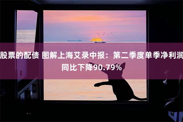股票的配债 图解上海艾录中报:第二季度单季净利润同比下降90.79%