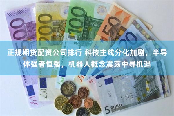 正规期货配资公司排行 科技主线分化加剧,半导体强者恒强,机器人概念震荡中寻机遇