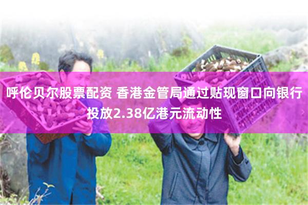 呼伦贝尔股票配资 香港金管局通过贴现窗口向银行投放2.38亿港元流动性
