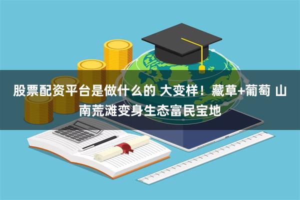 股票配资平台是做什么的 大变样！藏草+葡萄 山南荒滩变身生态富民宝地