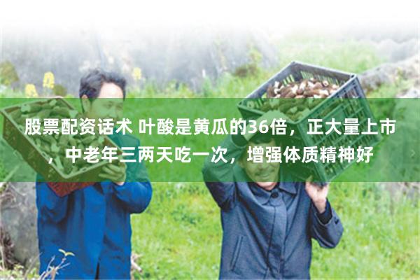股票配资话术 叶酸是黄瓜的36倍，正大量上市，中老年三两天吃一次，增强体质精神好
