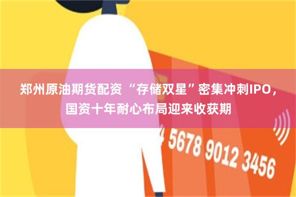 郑州原油期货配资 “存储双星”密集冲刺IPO，国资十年耐心布局迎来收获期