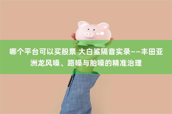 哪个平台可以买股票 大白鲨隔音实录——丰田亚洲龙风噪、路噪与胎噪的精准治理