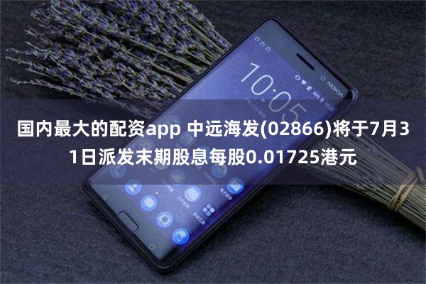 国内最大的配资app 中远海发(02866)将于7月31日派发末期股息每股0.01725港元