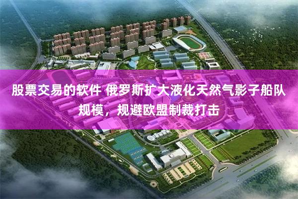 股票交易的软件 俄罗斯扩大液化天然气影子船队规模，规避欧盟制裁打击