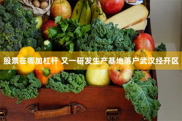 股票在哪加杠杆 又一研发生产基地落户武汉经开区