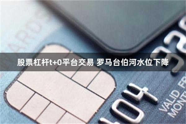 股票杠杆t+0平台交易 罗马台伯河水位下降