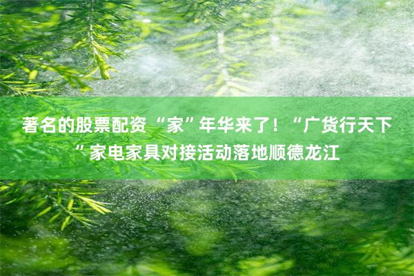 著名的股票配资 “家”年华来了！“广货行天下”家电家具对接活动落地顺德龙江