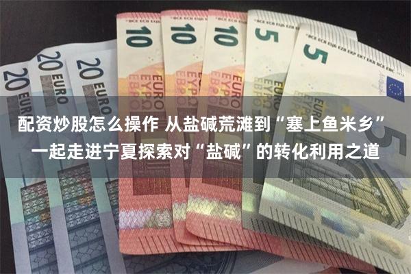 配资炒股怎么操作 从盐碱荒滩到“塞上鱼米乡” 一起走进宁夏探索对“盐碱”的转化利用之道
