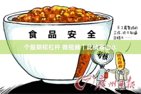 个股期权杠杆 微视频｜此情寄山水