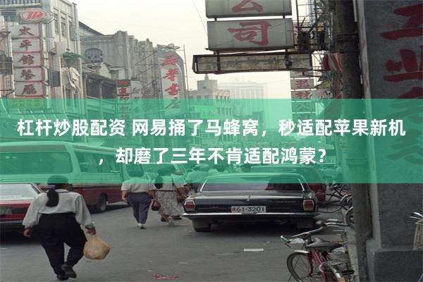 杠杆炒股配资 网易捅了马蜂窝，秒适配苹果新机，却磨了三年不肯适配鸿蒙？