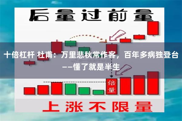 十倍杠杆 杜甫：万里悲秋常作客，百年多病独登台——懂了就是半生