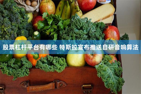 股票杠杆平台有哪些 特斯拉宣布推送自研音响算法