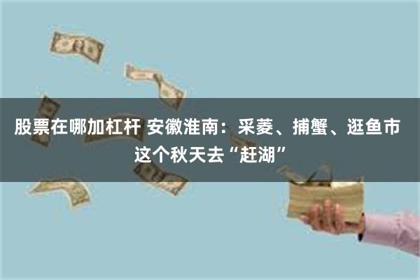 股票在哪加杠杆 安徽淮南：采菱、捕蟹、逛鱼市 这个秋天去“赶湖”