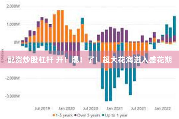配资炒股杠杆 开！爆！了！超大花海进入盛花期