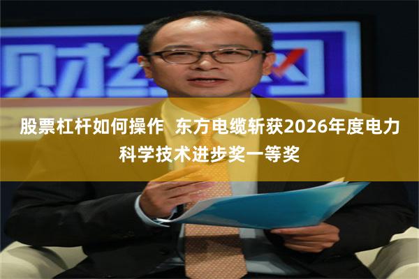 股票杠杆如何操作  东方电缆斩获2026年度电力科学技术进步奖一等奖