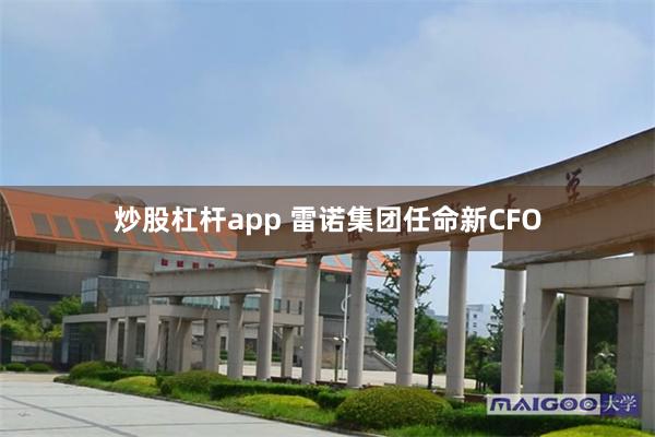 炒股杠杆app 雷诺集团任命新CFO