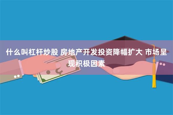 什么叫杠杆炒股 房地产开发投资降幅扩大 市场呈现积极因素