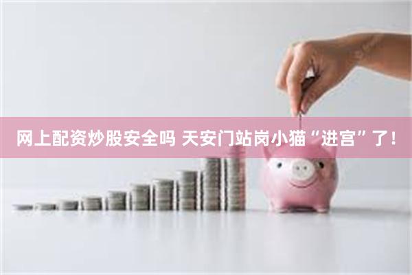 网上配资炒股安全吗 天安门站岗小猫“进宫”了！